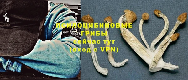 спиды Алексеевка
