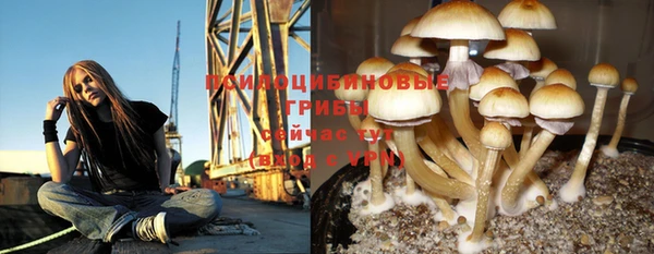 дмт Алзамай