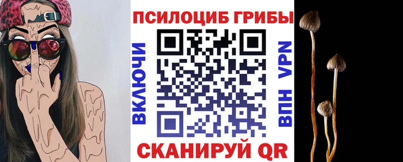 Псилоцибиновые грибы Magic Shrooms  Лагань 