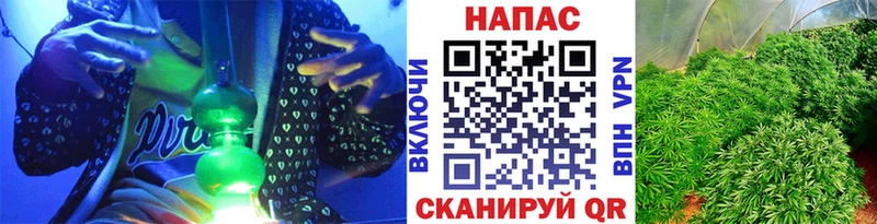 Бошки Шишки Amnesia  Лагань 